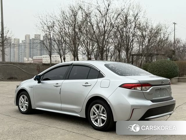 Toyota Lei Ling id 4272884 из Китая 7