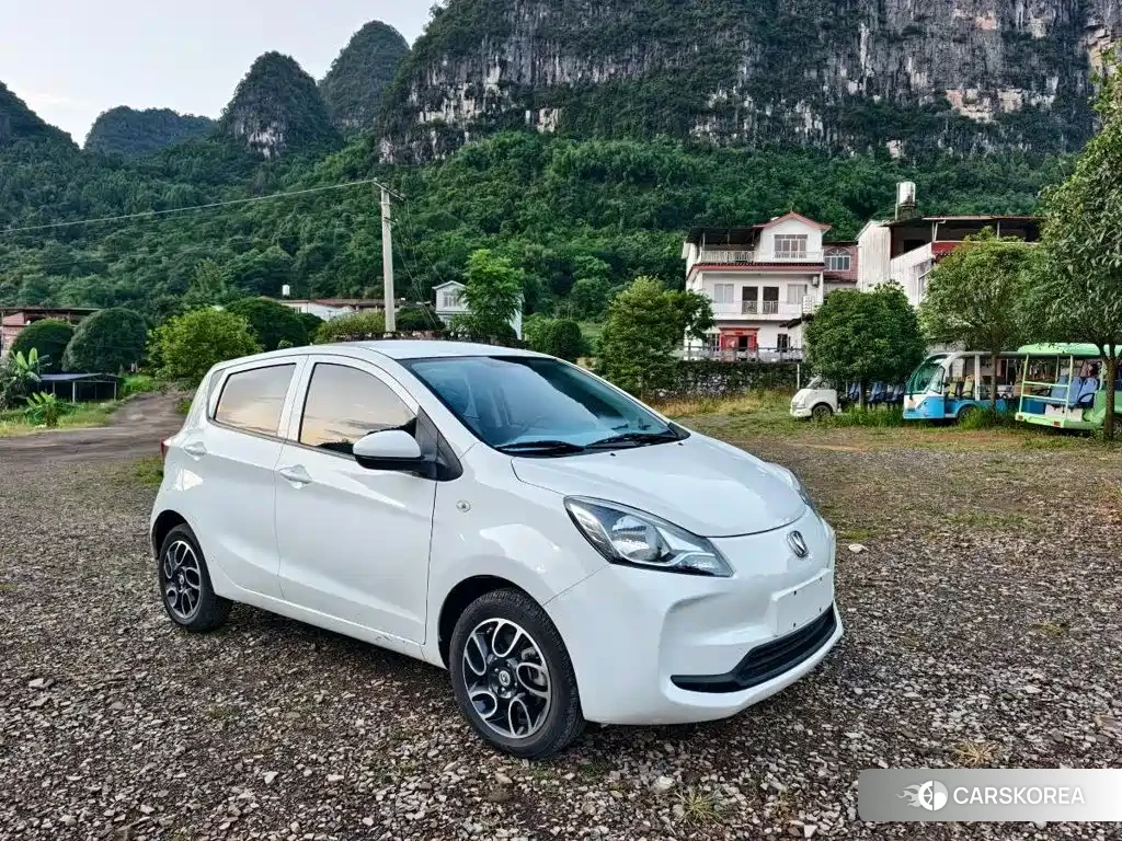 Chang'an Benben E-Star id 4628301 из Китая 7