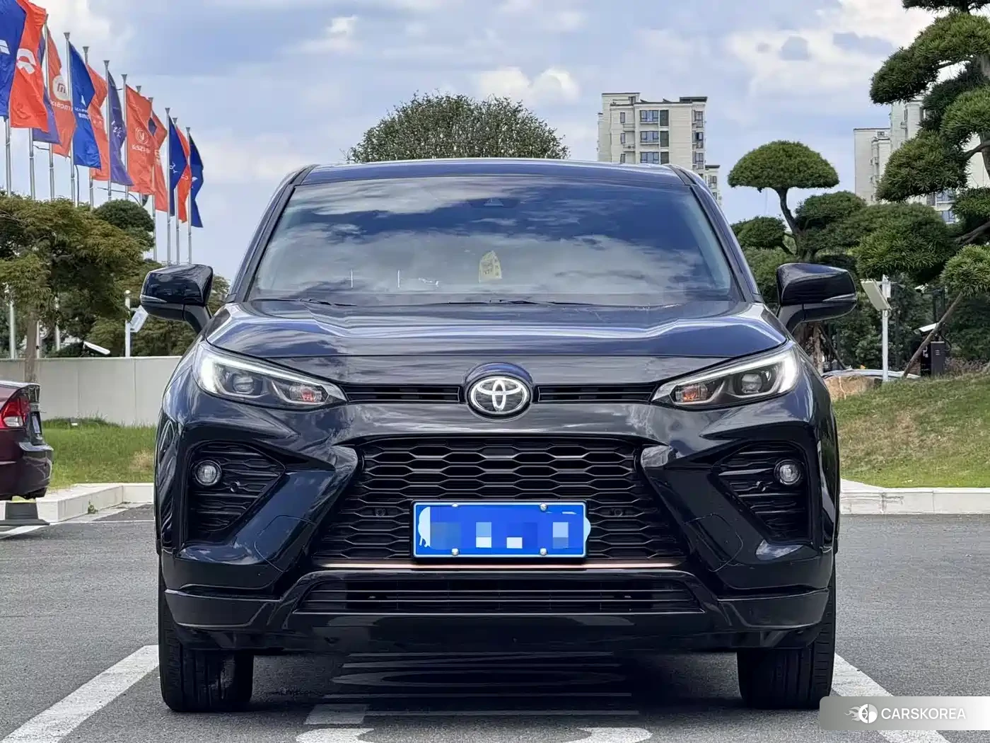 Toyota Wildlander id 4599688 из Китая 7