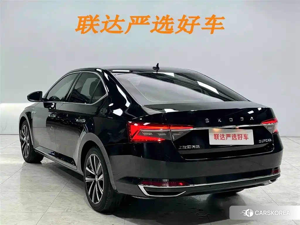 Skoda Speed pie id 4538728 из Китая 22