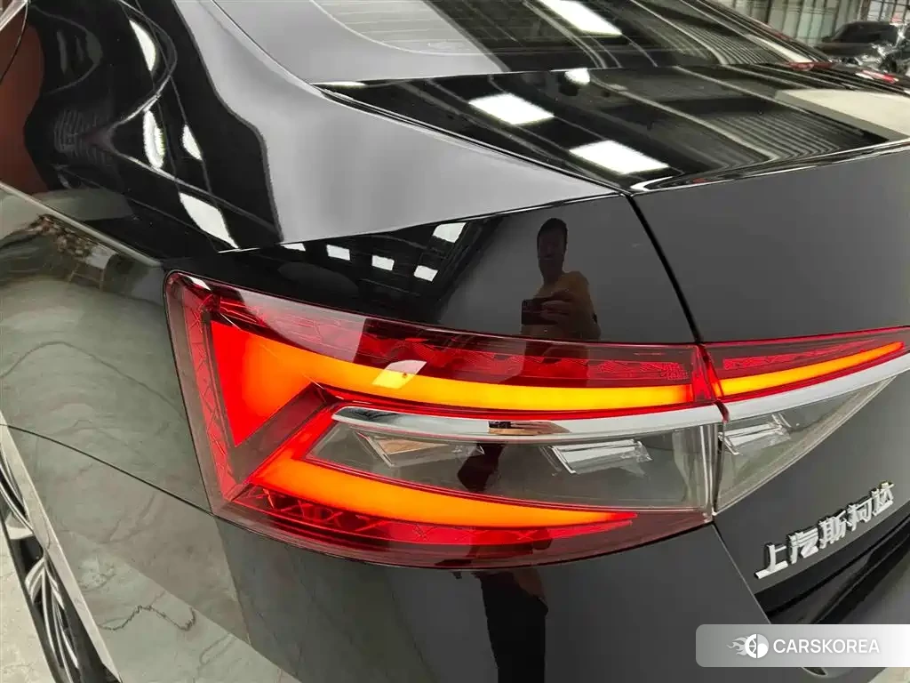 Skoda Speed pie id 4565175 из Китая 22