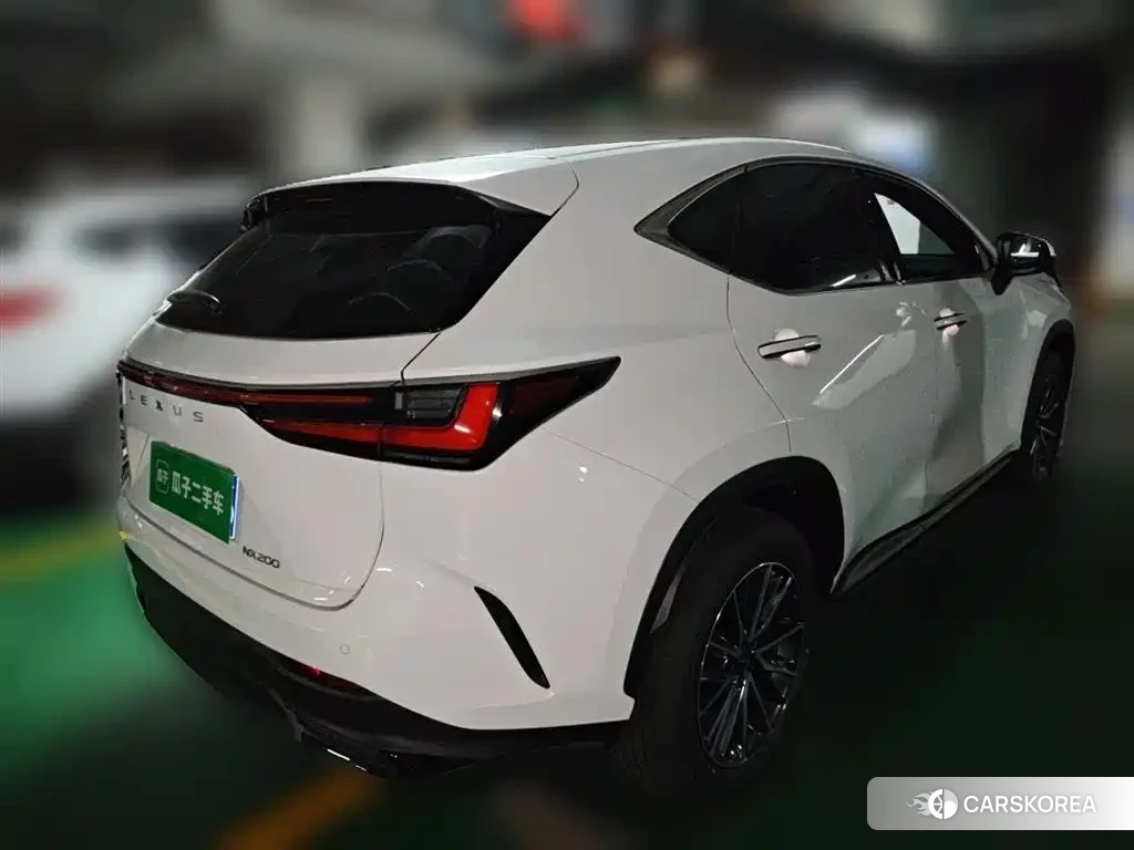 Lexus NX id 4538642 из Китая 18