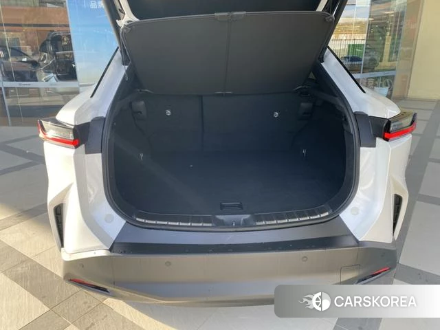 Lexus RZ id 4272616 из Китая 7