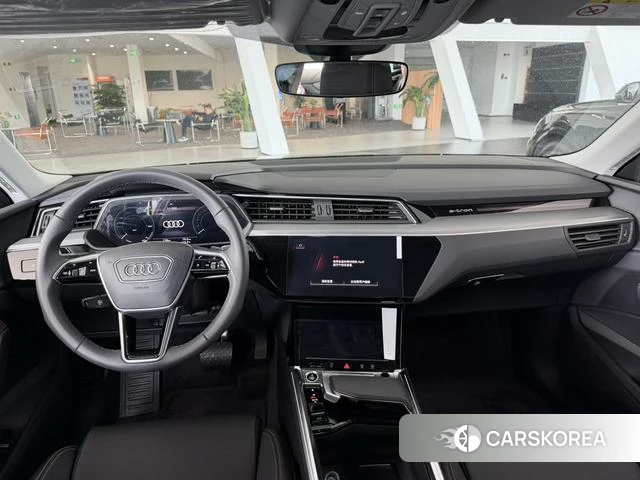 Audi e-tron id 3920668 из Китая 12