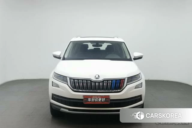 Skoda Kodiak id 4211289 из Китая 21