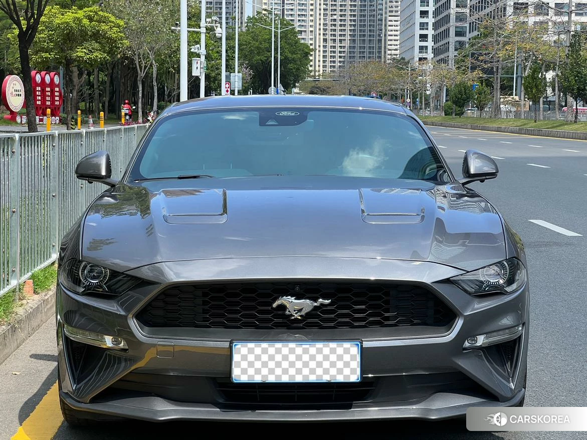 Ford Mustang id 4467794 из Китая 14