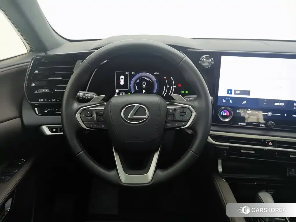 Lexus RX id 4601980 из Китая 21