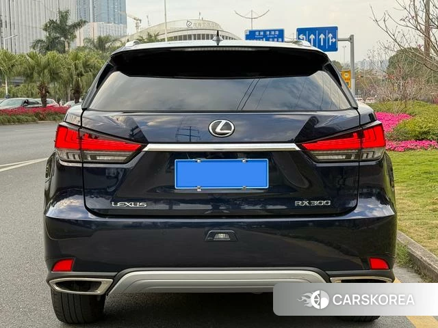 Lexus RX id 4277361 из Китая 11