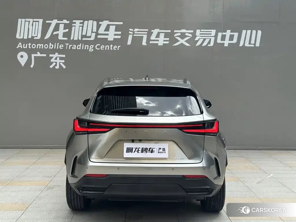Lexus NX id 4686242 из Китая 10