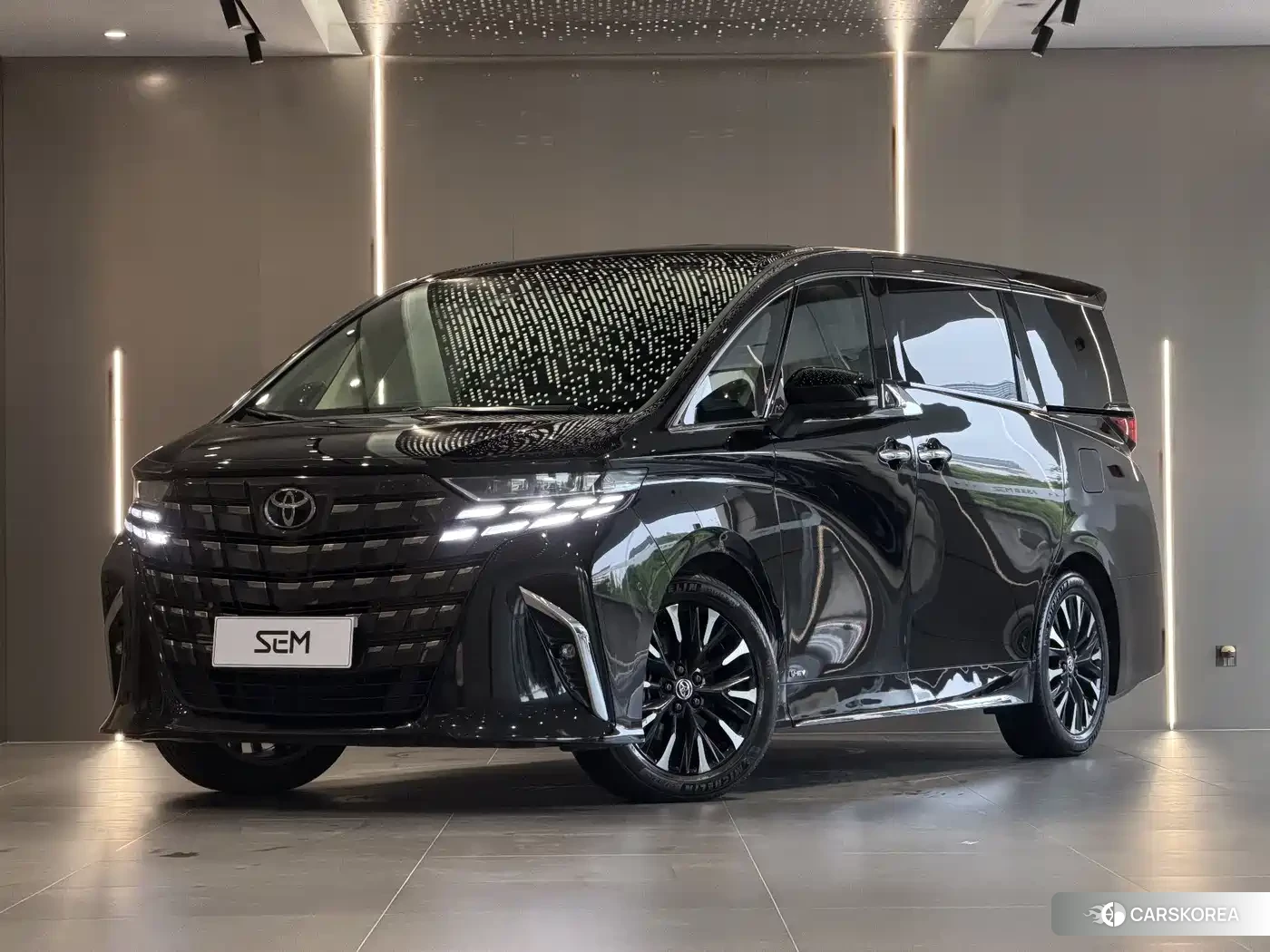 Toyota Elfa id 4589351 из Китая 12