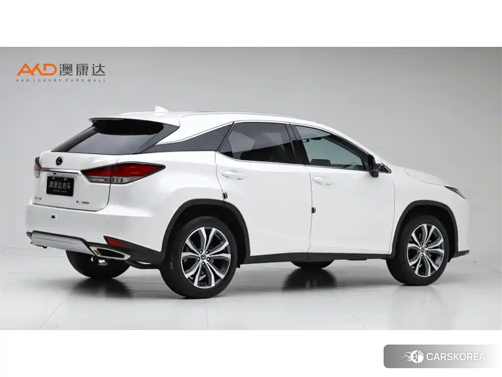 Lexus RX id 4539276 из Китая 7