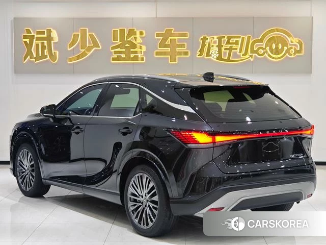 Lexus RX id 4348859 из Китая 10