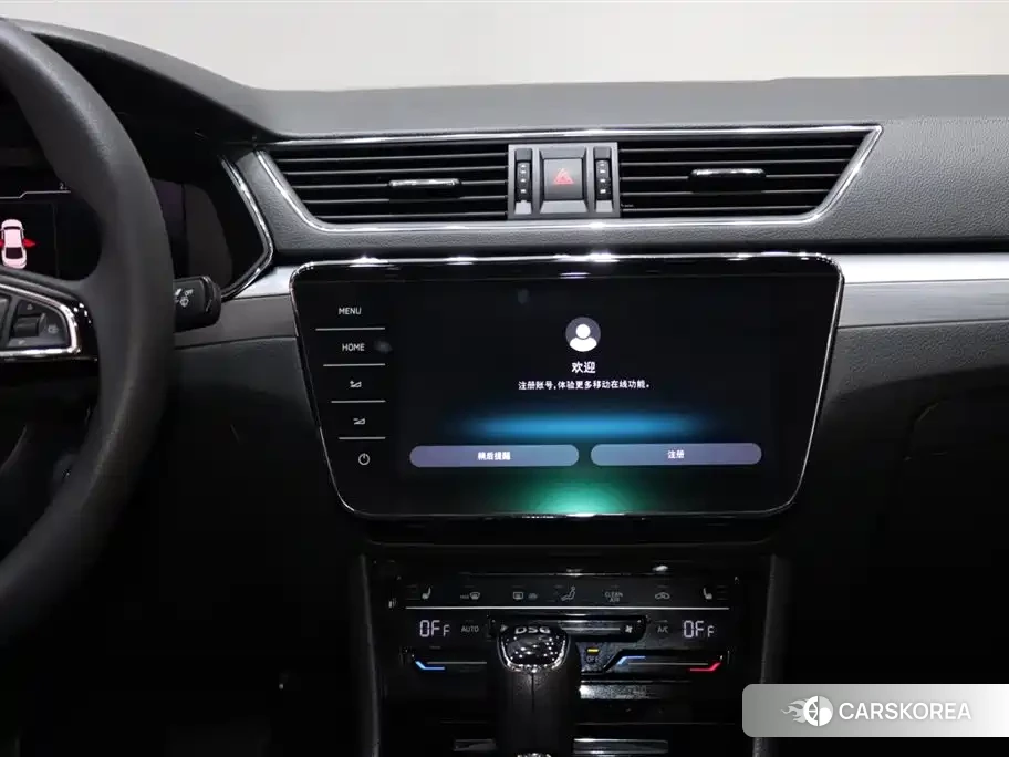 Skoda Speed pie id 4515532 из Китая 17