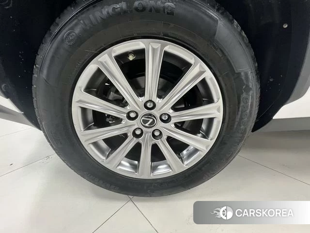 Lexus NX id 4263001 из Китая 22