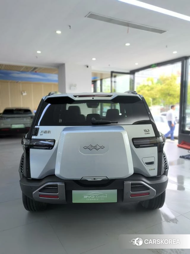 Leopard Titanium 3 id 4028231 из Китая 16