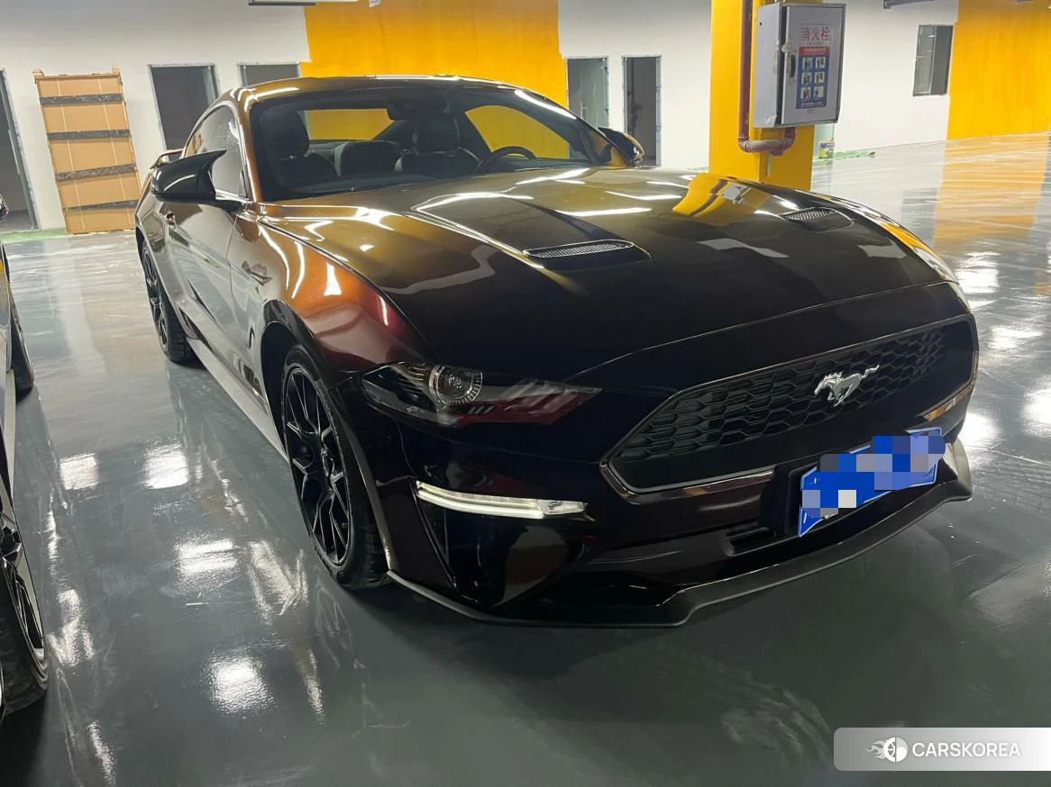 Ford Mustang id 4440424 из Китая 7