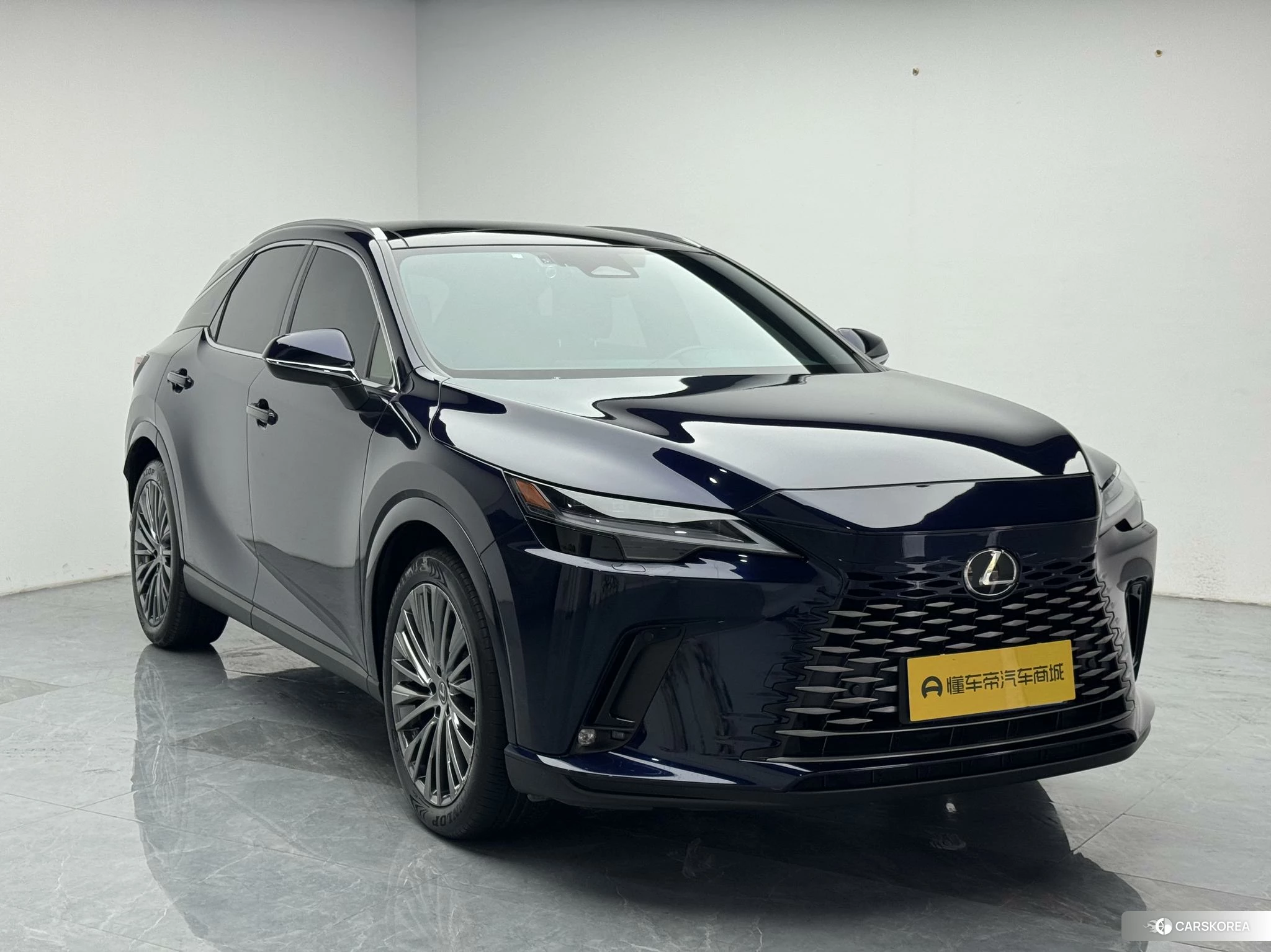 Lexus RX id 4515067 из Китая 16