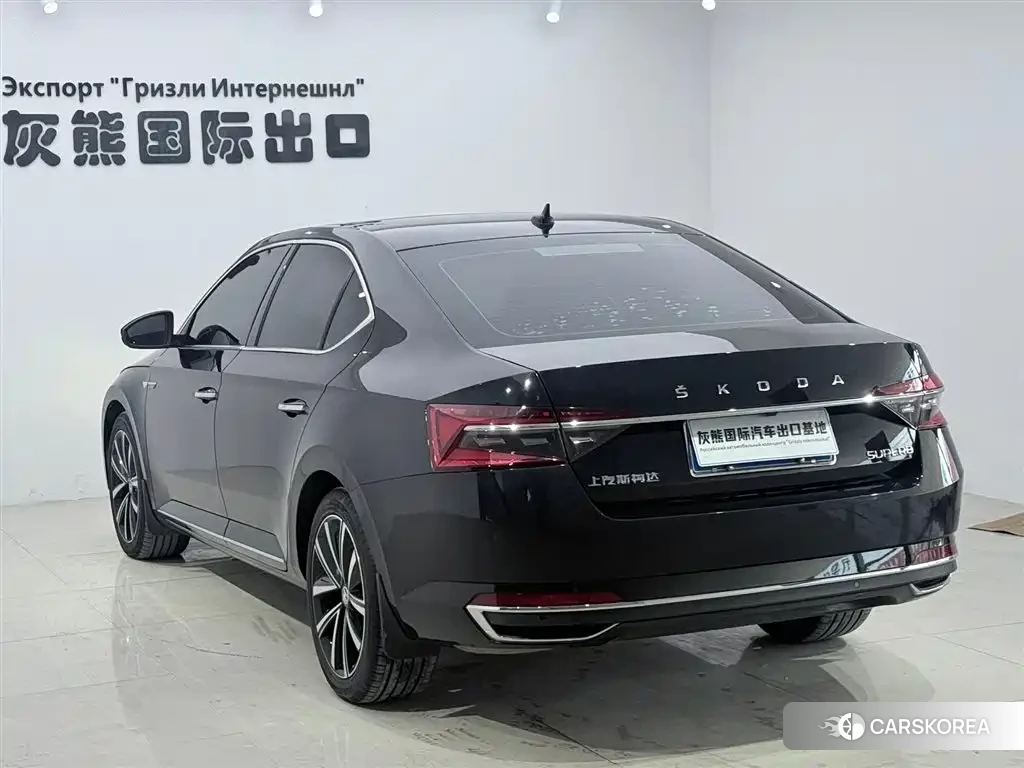 Skoda Speed pie id 4548303 из Китая 12