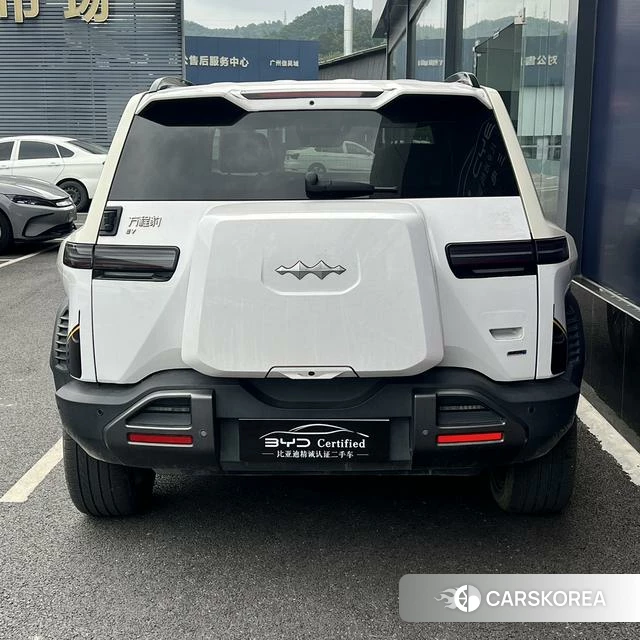 Leopard Titanium 3 id 3957863 из Китая 9