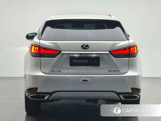 Lexus RX id 4277993 из Китая 13