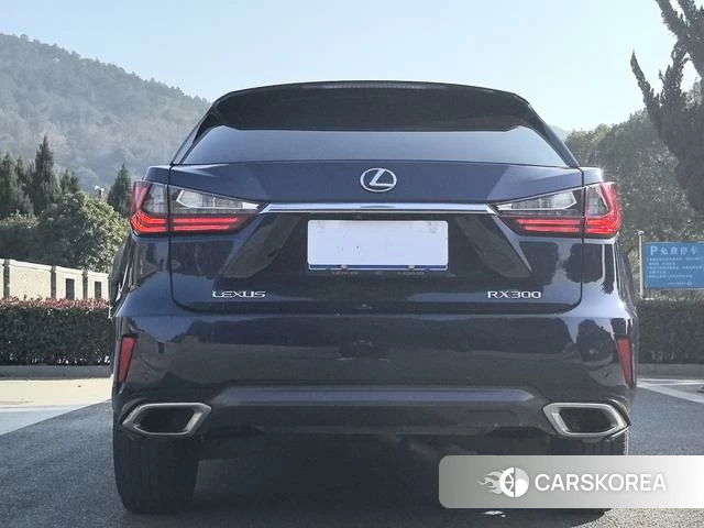 Lexus RX id 4241485 из Китая 12