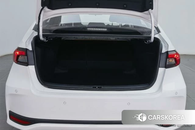Toyota Asian lion id 4259145 из Китая 21