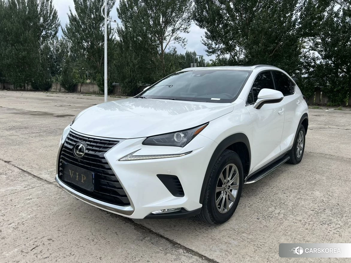 Lexus NX id 4461344 из Китая 21