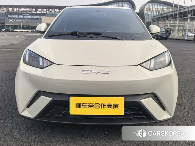 BYD Seagull id 4211754 из Китая 10