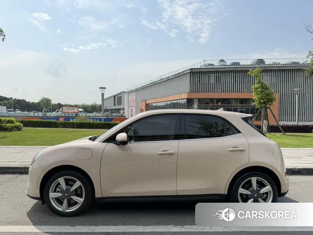 Euler Good cat id 3957813 из Китая 13