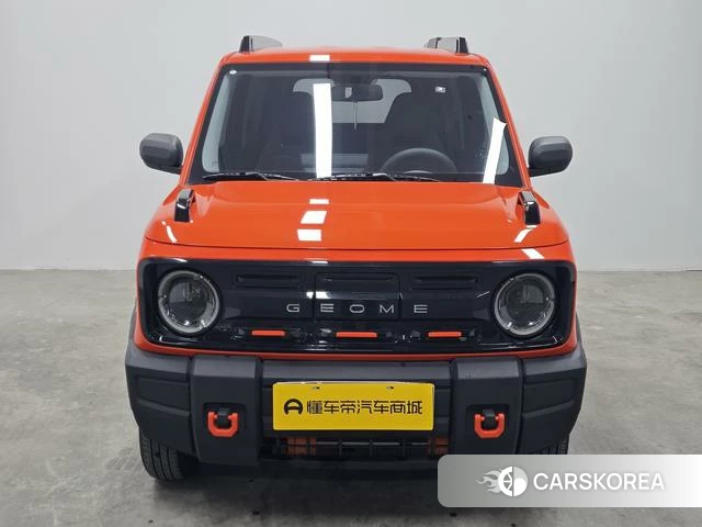 Geely Galaxy panda id 4254665 из Китая 17