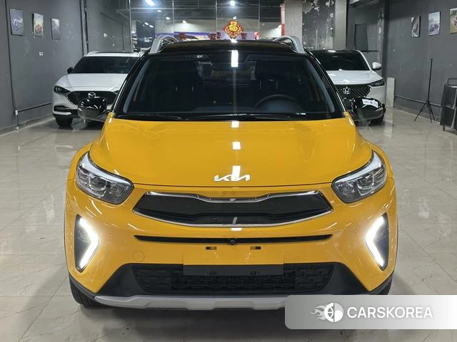 Kia Yi Ran id 4278474 из Китая 12