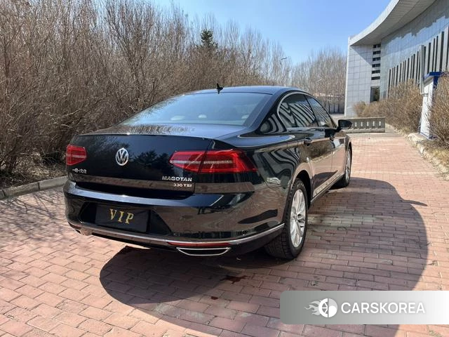Volkswagen Magotan id 4207604 из Китая 12
