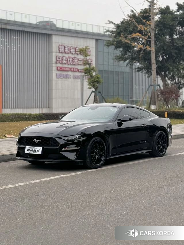 Ford Mustang id 4217491 из Китая 7