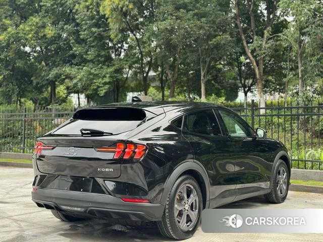 Ford Electric horse id 4394074 из Китая 16