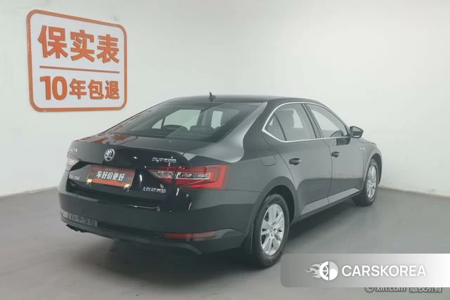Skoda Speed pie id 4210065 из Китая 21