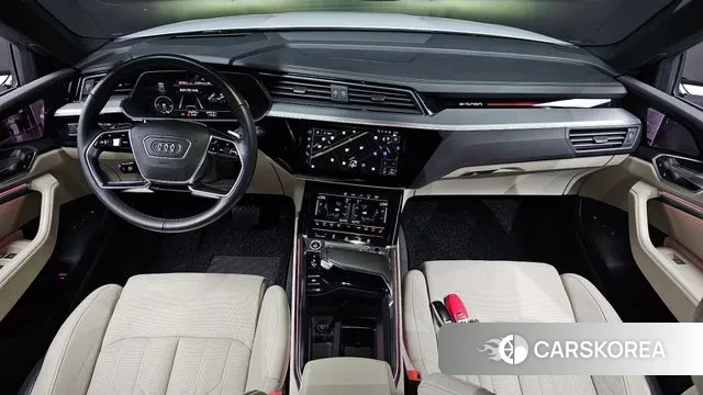 Audi e-Tron id 3342725 из Кореи 17