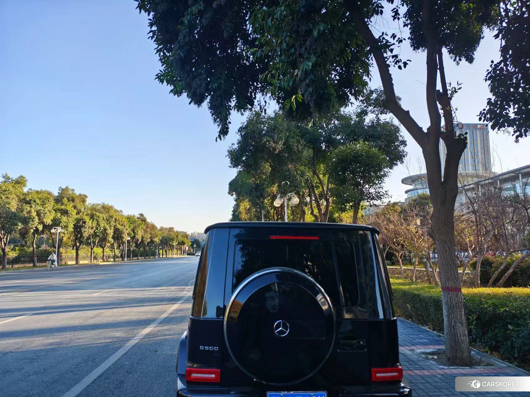 Mercedes-Benz G-class id 4512389 из Китая 9