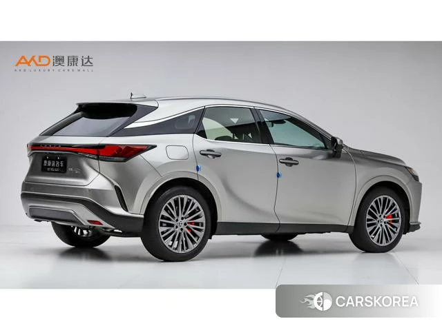 Lexus RX PHEV id 4262126 из Китая 7