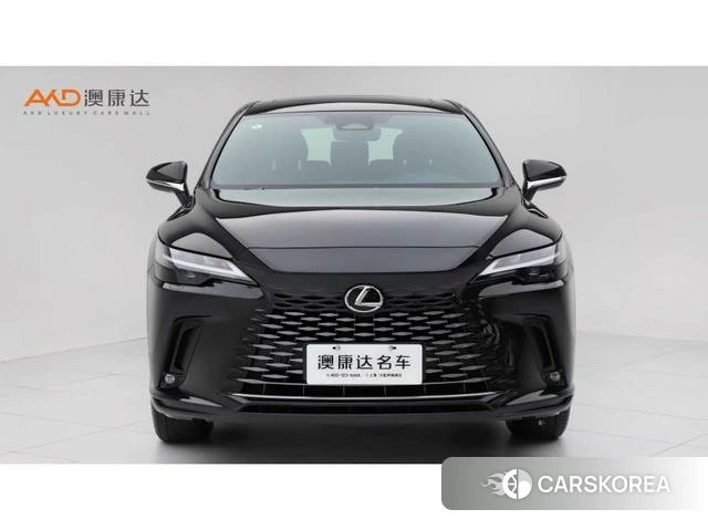 Lexus RX id 4239949 из Китая 7