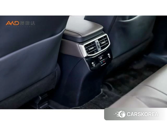 Lexus RX PHEV id 4291291 из Китая 7