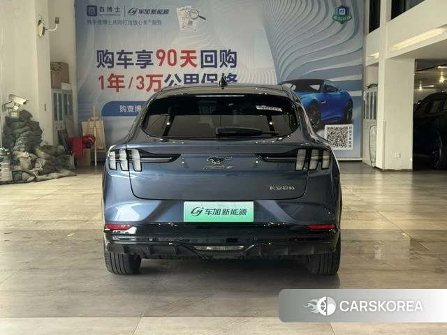Ford Electric horse id 4394127 из Китая 7