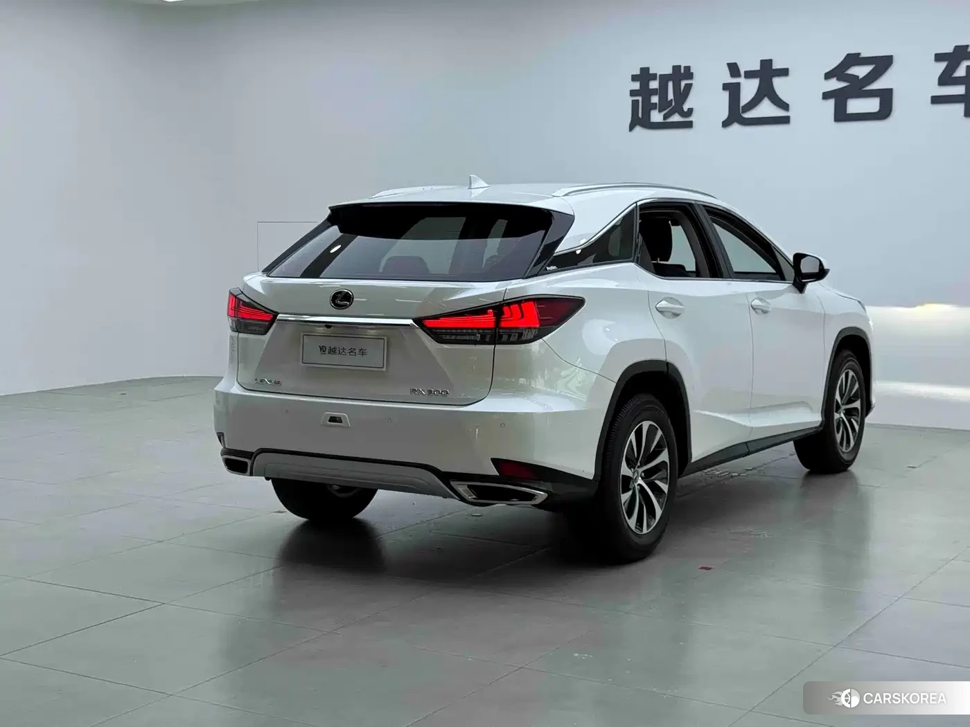 Lexus RX id 4669423 из Китая 18