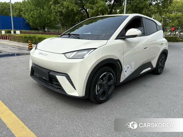 BYD Seagull id 4242164 из Китая 8