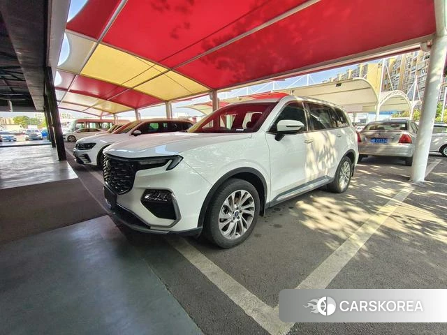Ford Lingyu id 4207136 из Китая 7
