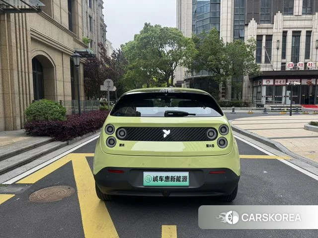 firefly firefly Unknown id 4182512 из Китая 11