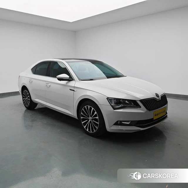 Skoda Speed pie id 4235866 из Китая 17