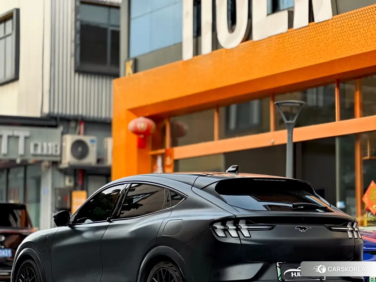 Ford Electric horse id 4578304 из Китая 7