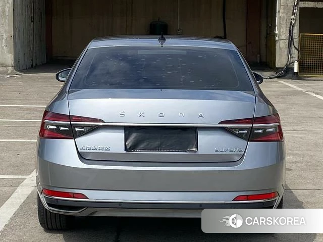 Skoda Speed pie id 4253843 из Китая 11