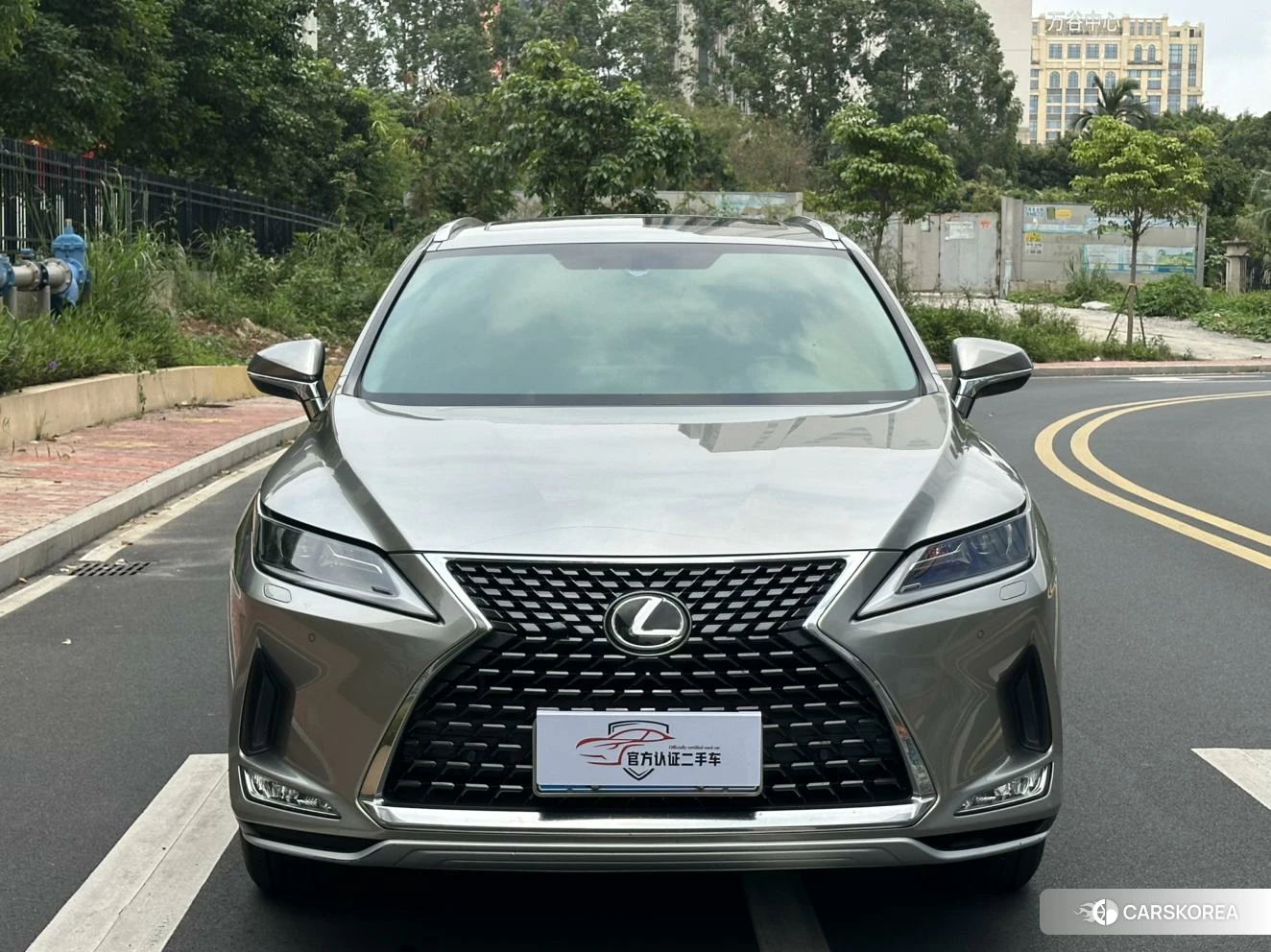 Lexus RX id 4455855 из Китая 14