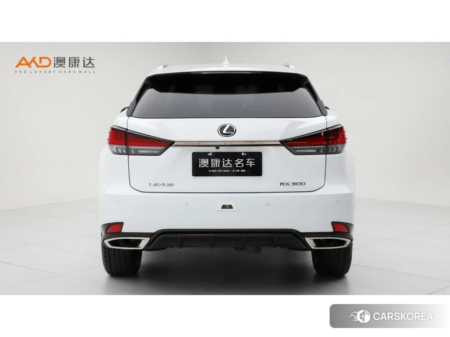 Lexus RX id 4440511 из Китая 7